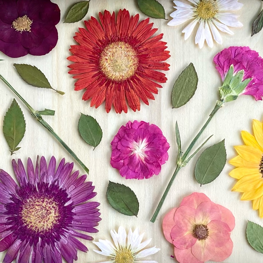 Meet your Posher, Kevin-staci